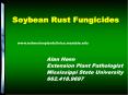 Soybean Rust Fungicides PowerPoint PPT Presentation