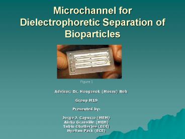 Microchannel for Dielectrophoretic Separation of Bioparticles
