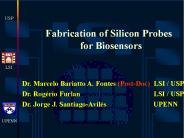 Fabrication of Silicon Probes for Biosensors