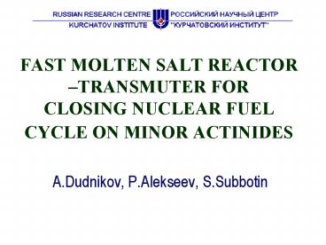 FAST MOLTEN SALT REACTOR TRANSMUTER FOR CLOSING NUCLEAR FUEL CYCLE ON MINOR ACTINIDES
