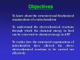 Mitochondria: Energy Conversion PowerPoint PPT Presentation