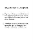 Digestion and Absorption PowerPoint PPT Presentation