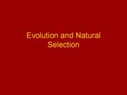 Evolution and Natural Selection