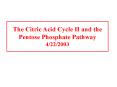 The Citric Acid Cycle II and the Pentose Phosphate Pathway 4/22/2003 PowerPoint PPT Presentation