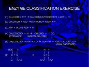 ENZYME CLASSIFICATION EXERCISE
