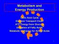 Metabolism and Energy Production PowerPoint PPT Presentation