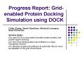 Progress Report: Gridenabled Protein Docking Simulation using DOCK PowerPoint PPT Presentation