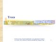Trees PowerPoint PPT Presentation