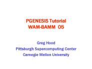 PGENESIS Tutorial WAMBAMM 05