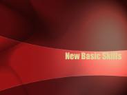 New Basic Skills