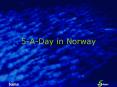 5ADay in Norway PowerPoint PPT Presentation