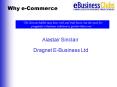 Dragnet EBusiness Ltd PowerPoint PPT Presentation