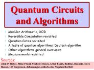 Quantum Circuits and Algorithms