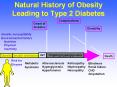 Natural History of Obesity Leading to Type 2 Diabetes PowerPoint PPT Presentation