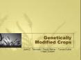Genetically Modified Crops PowerPoint PPT Presentation
