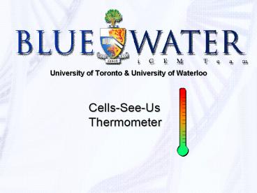 University of Toronto