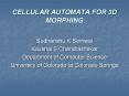 CELLULAR AUTOMATA FOR 3D MORPHING PowerPoint PPT Presentation