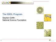 The NSDL Program