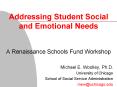 Addressing Student Social and Emotional Needs PowerPoint PPT Presentation