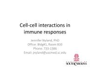 Cellcell interactions in immune responses