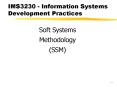 IMS3230 Information Systems Development Practices PowerPoint PPT Presentation