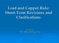 Lead and Copper Rule: ShortTerm Revisions and Clarifications PowerPoint PPT Presentation