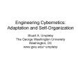 Engineering Cybernetics: Adaptation and SelfOrganization PowerPoint PPT Presentation