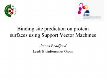Binding site prediction on protein surfaces using Support Vector Machines