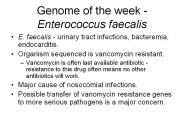 Genome of the week - Enterococcus faecalis