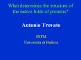 What determines the structure of the native folds of proteins PowerPoint PPT Presentation
