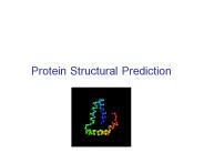 Protein Structural Prediction