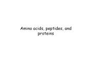 Amino acids, peptides, and proteins