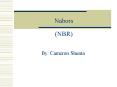 Nabors NBR PowerPoint PPT Presentation