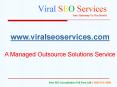Viral SEO Services: Professional SEO SEM PPC SMO Company