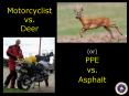 Motorcyclist vs. Deer PowerPoint PPT Presentation