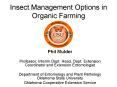 Insect Management Options in Organic Farming PowerPoint PPT Presentation