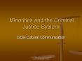 Minorities and the Criminal Justice System PowerPoint PPT Presentation