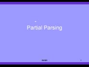 Partial Parsing
