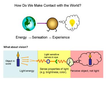 How Do We Make Contact with the World