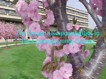 The Owners Responsibilities In The Commissioning Process