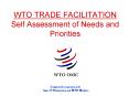 WTO TRADE FACILITATION Self Assessment of Needs and Priorities PowerPoint PPT Presentation