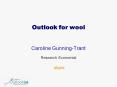 Outlook for wool PowerPoint PPT Presentation