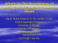 Whats UpThe Neurobiology of Learning and Adolescent Substance Abuse PowerPoint PPT Presentation