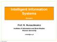 Intelligent Information Systems Synopsis PowerPoint PPT Presentation