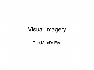 Visual Imagery