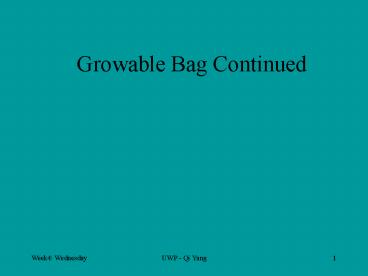 Growable Bag Continued