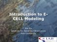 Introduction to ECELL Modeling PowerPoint PPT Presentation