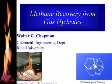 Methane Recovery from Gas Hydrates