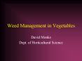 Weed Management in Vegetables PowerPoint PPT Presentation