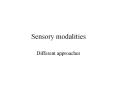 Sensory modalities PowerPoint PPT Presentation